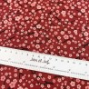Japonesas blossom rojo